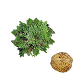 06293d24da213c17a8df6ce49ed96aad