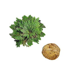 06293d24da213c17a8df6ce49ed96aad